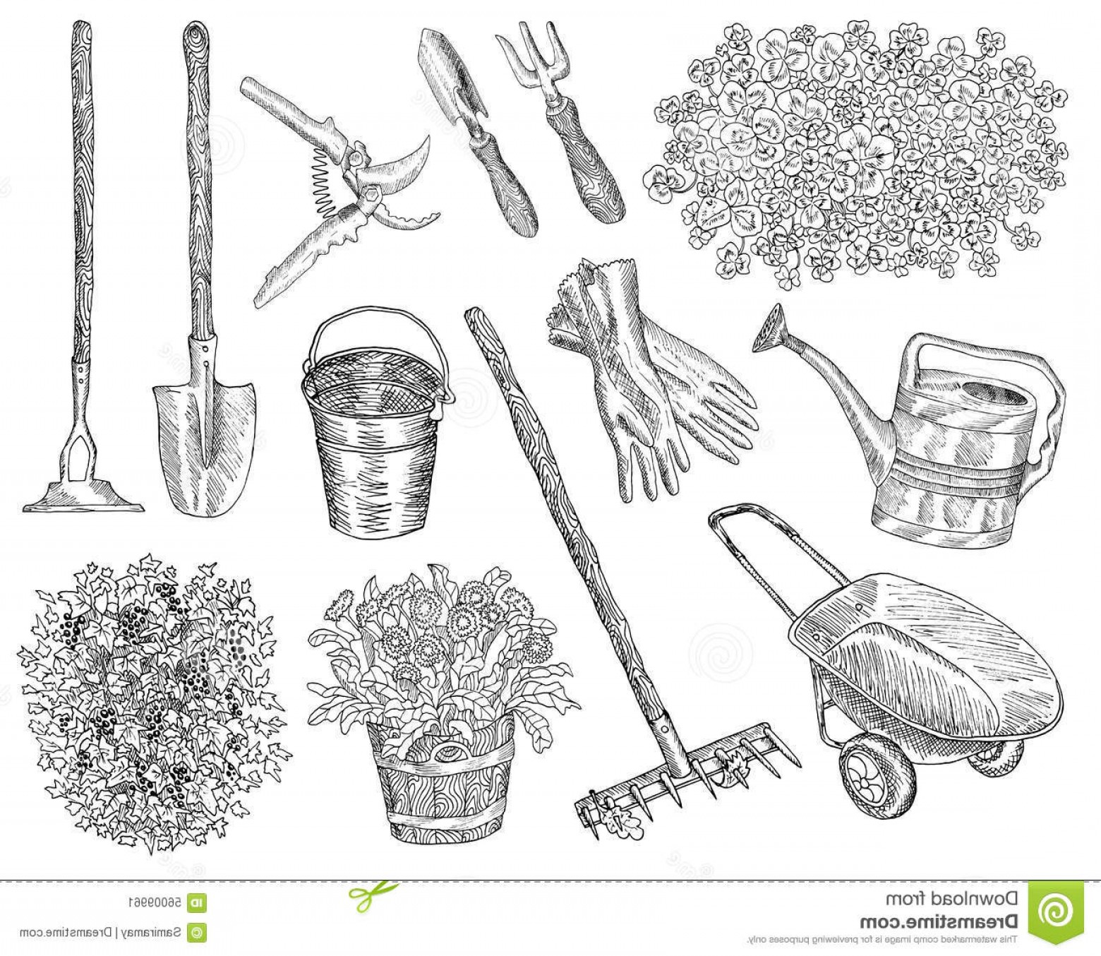 1560x1354 Vintage Garden Vector Shopatcloth - Gardening Tools Sketch