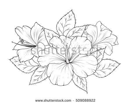 450x358 Hibiscus And Lily Flowers Bouquet Garland Composition. Isolated - Garland Sketch
