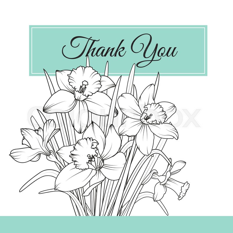 800x800 Narcissus Daffodil Spring Flowers Reusable Isolated Elements - Garland Sketch