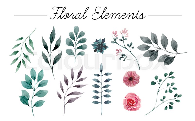 800x498 Set Of Flowers Painted In Watercolor On White Paper. Sketch Of - Garland Sketch