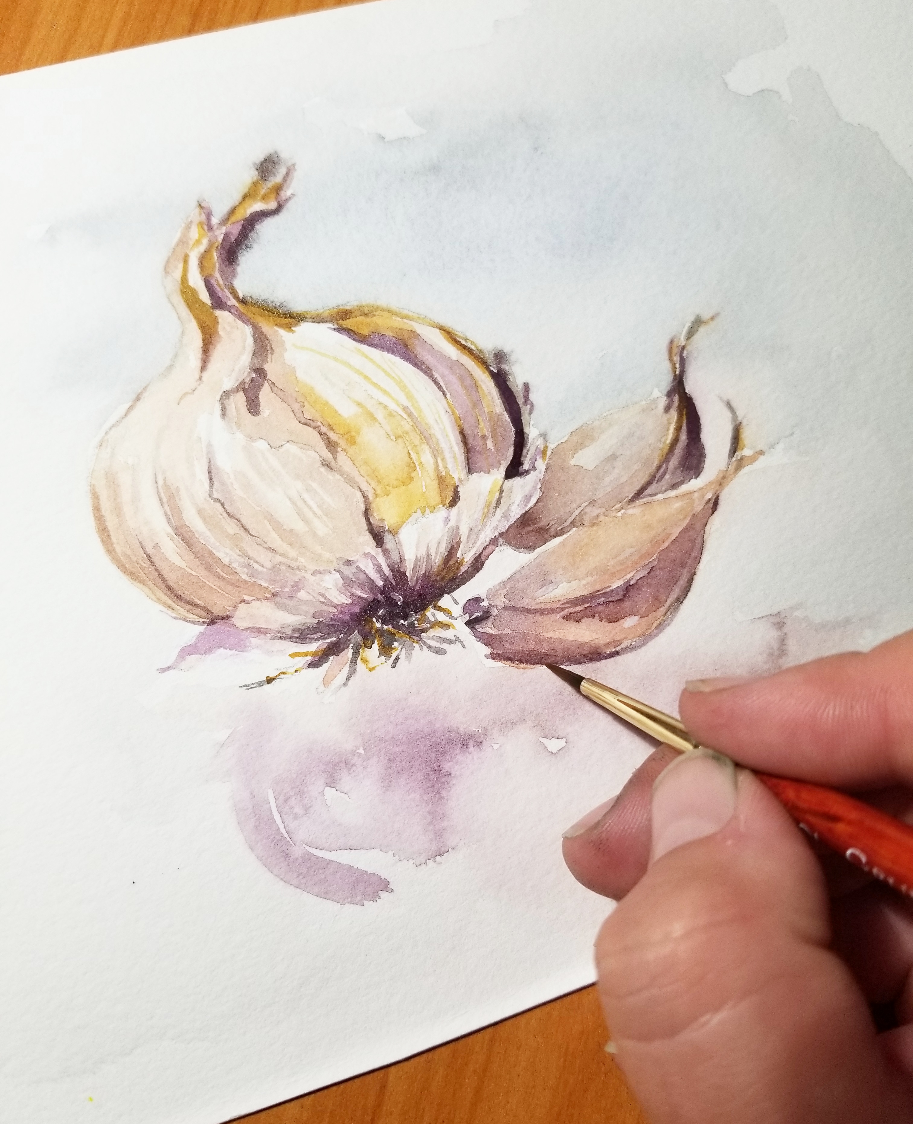3024x3723 Garlic Sketch, 5x7, Watercolour Painting - Garlic Sketch
