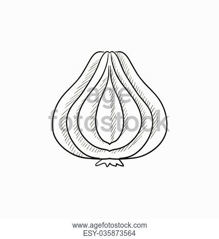 427x466 Garlic Sketch Icon For Infographic Stock Photos And Images Age - Garlic Sketch