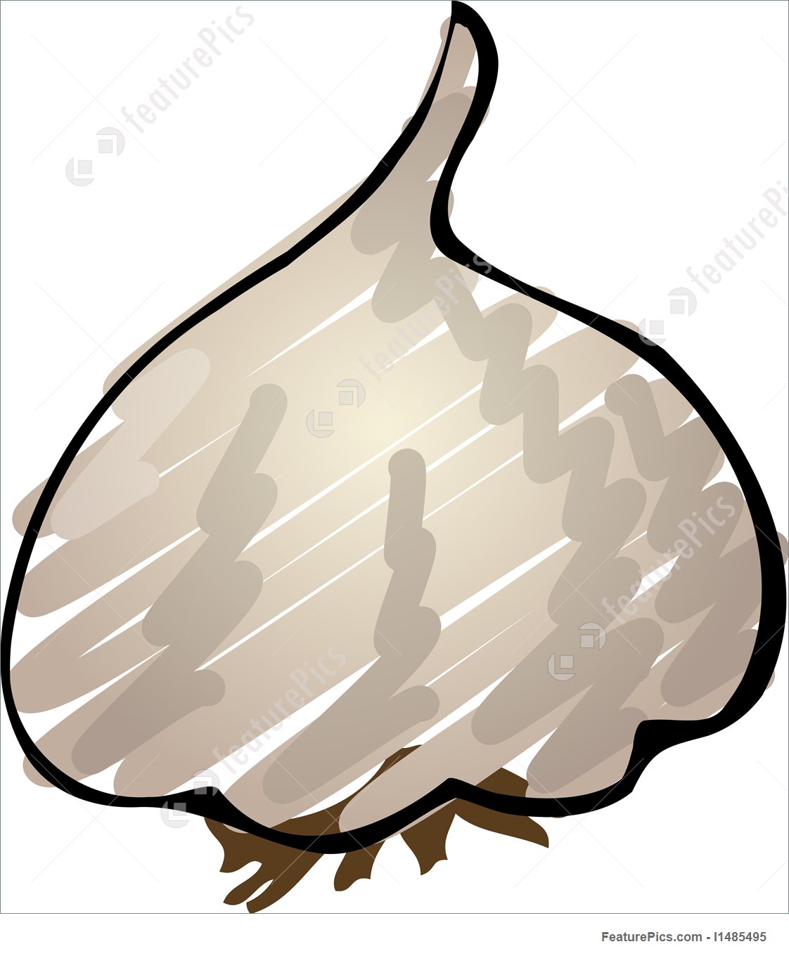 1122x1360 Illustration Of Garlic Sketch - Garlic Sketch