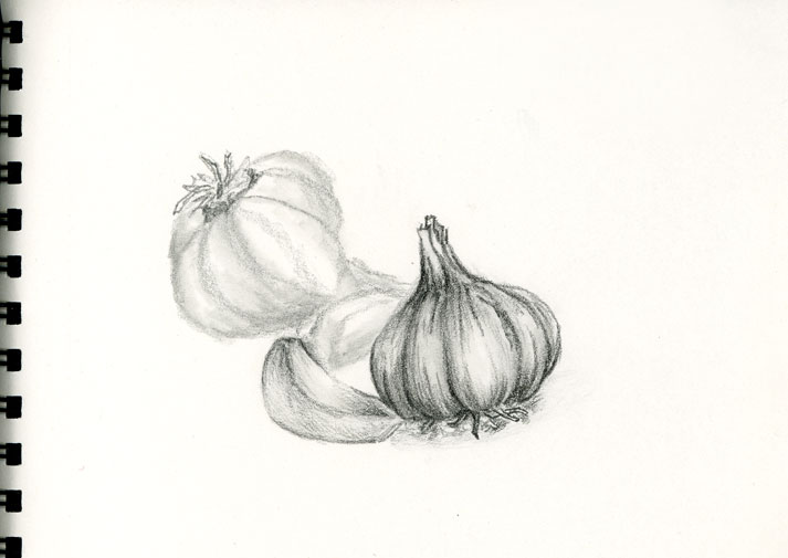 713x505 Collection Of Garlic Pencil Drawing High Quality, Free - Garlic Sketch