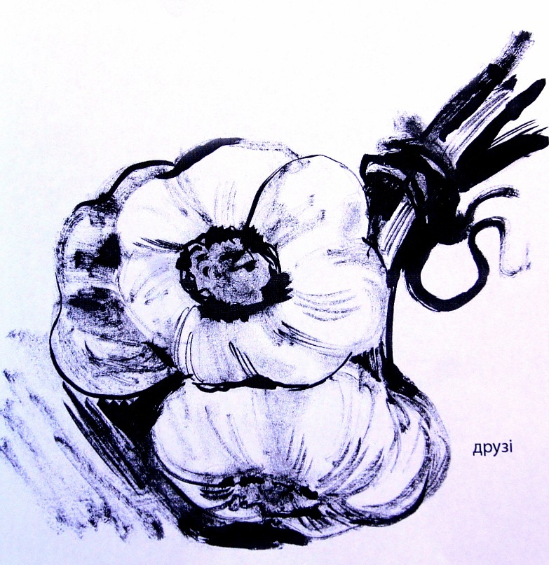 783x807 Sketch Garlic By Galinachanturiya - Garlic Sketch