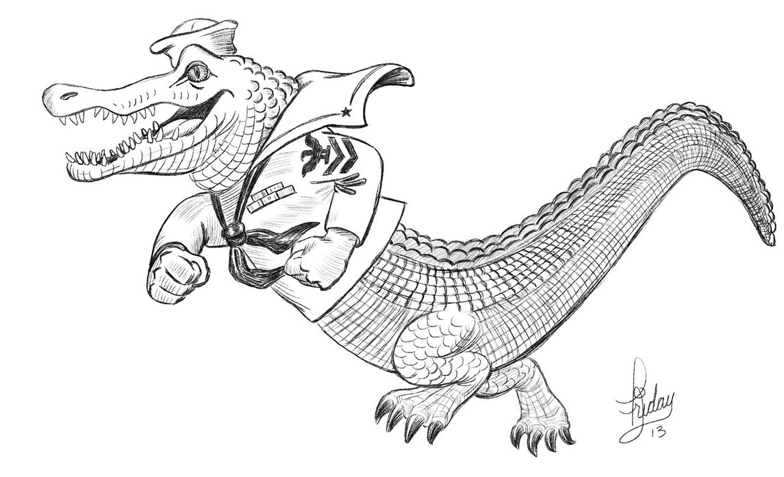 1145x697 Daily Sketch - Gator Sketch