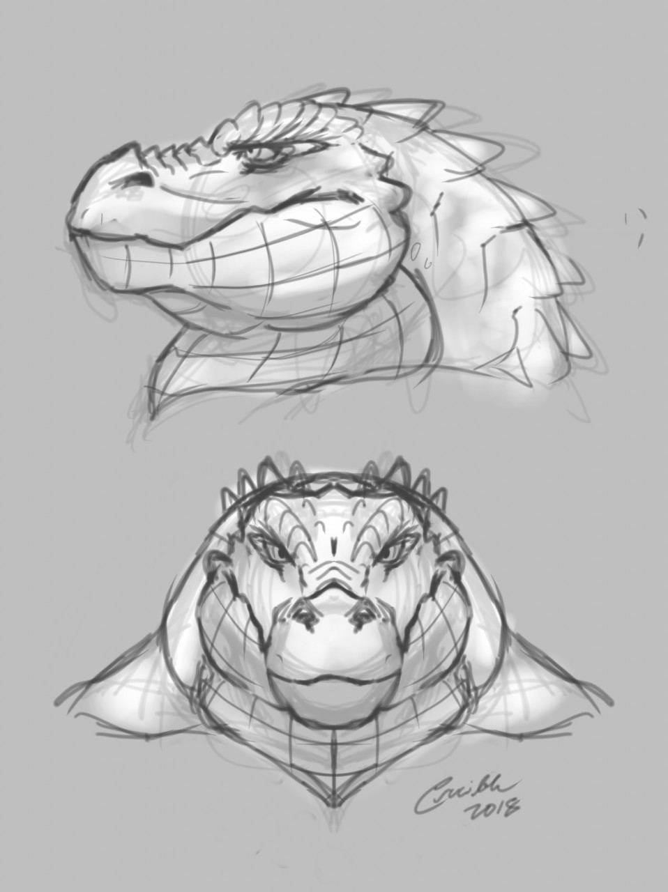 958x1280 Gator Busts (Sketch) By Crucible - Gator Sketch