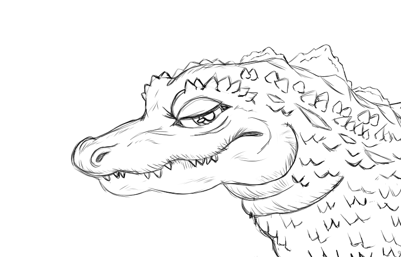 793x508 Gator Sketch Wip For Kingcalamity By Rainthewhitewolf - Gator Sketch
