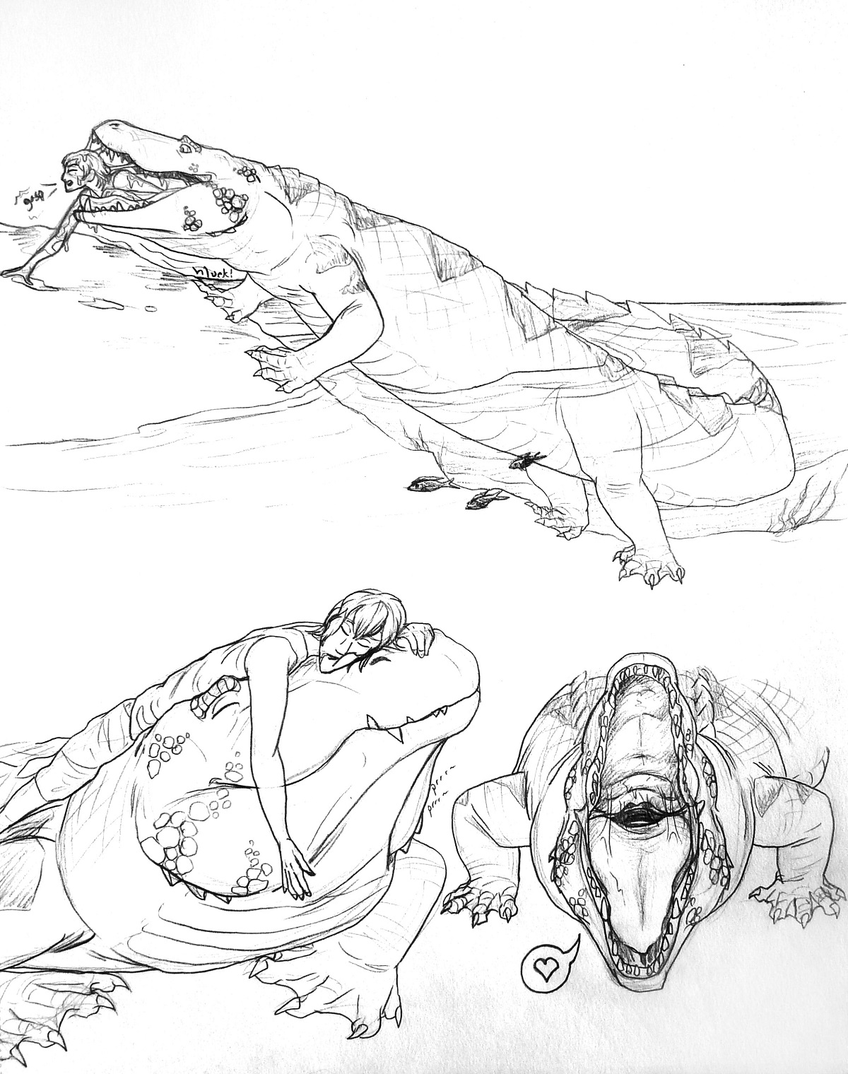 1200x1520 Spoder Gator Sketches Weasyl - Gator Sketch