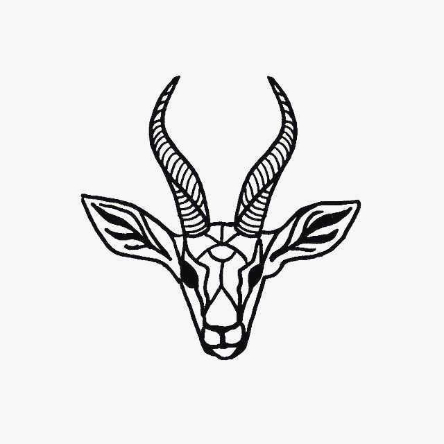 640x640 Cute Little Gazelle - Gazelle Sketch