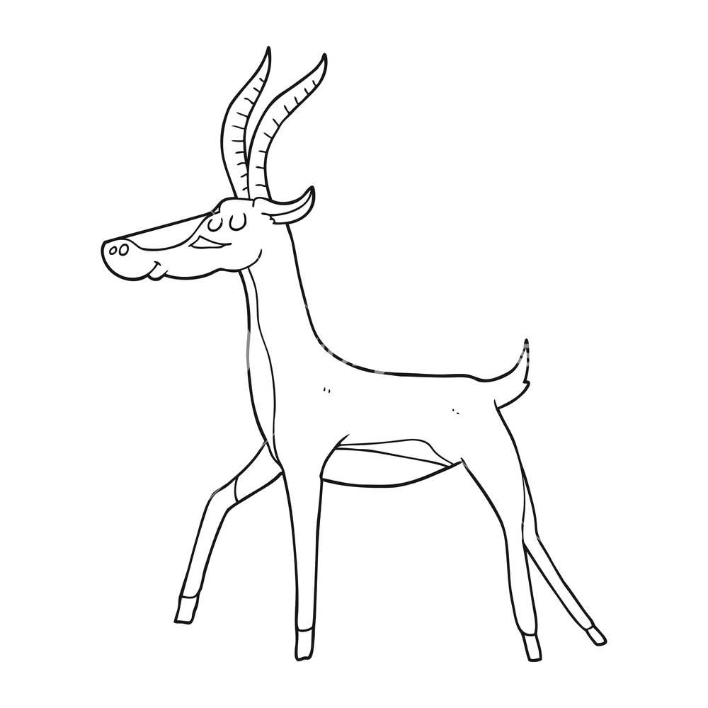 1000x1000 Drawn Animal Gazelle - Gazelle Sketch