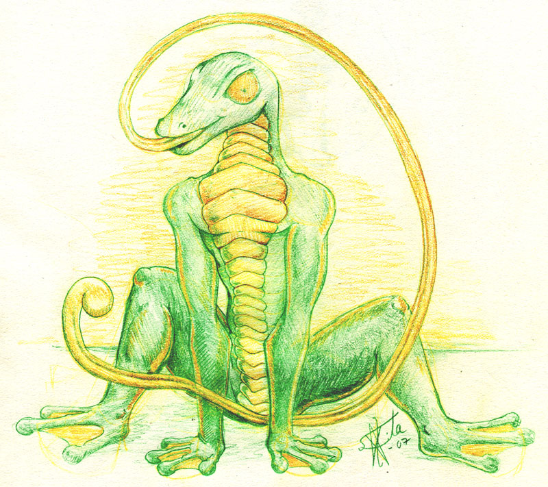 800x711 Gecko Sketch (Whiptongue) By Sakitastar By Serling - Gecko Sketch