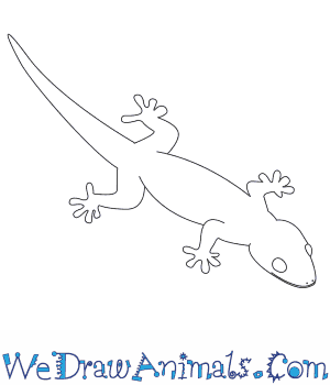 300x350 How To Draw A Gecko - Gecko Sketch