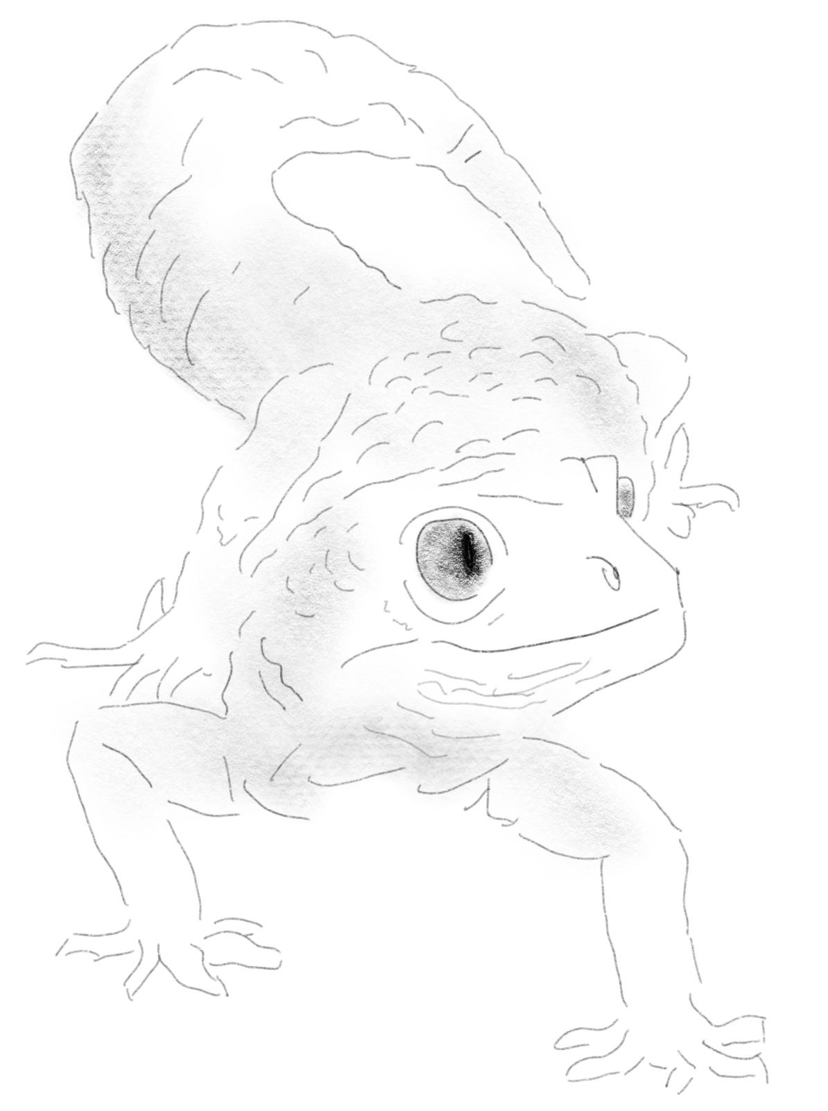 1194x1601 Lil Ol Leopard Gecko Sketch For Lemon Heartstopper Ill Name Him - Gecko Sketch