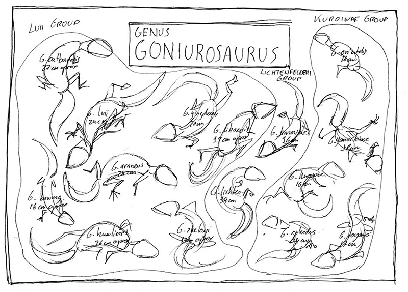 800x574 Sketch - Gecko Sketch