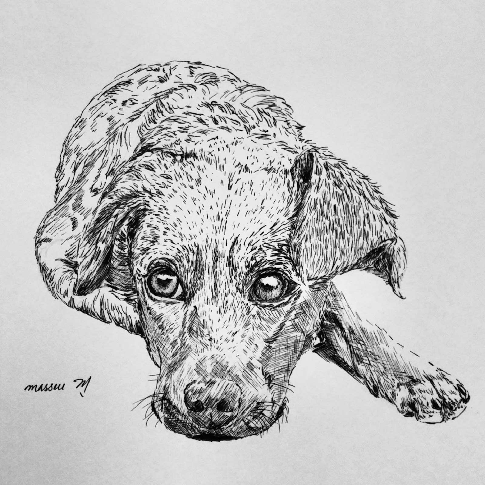 1600x1600 Masseu Learns To Sketch Dog Sketch! - Gel Pen Sketches