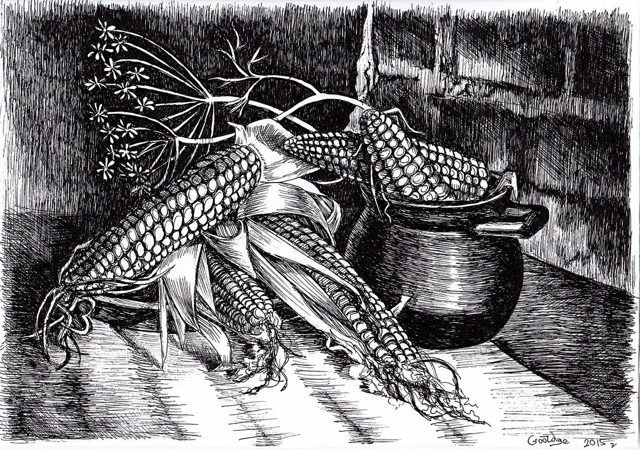 1300x913 Drawing A Realistic Corn. Gel Pen. By Svetlana Goordge - Gel Pen Sketches