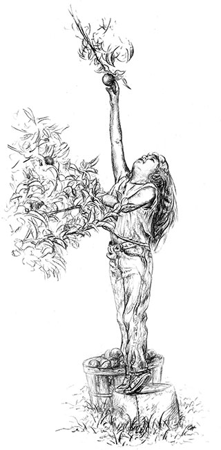 320x650 The Original Charcoal Pencils - General Sketch