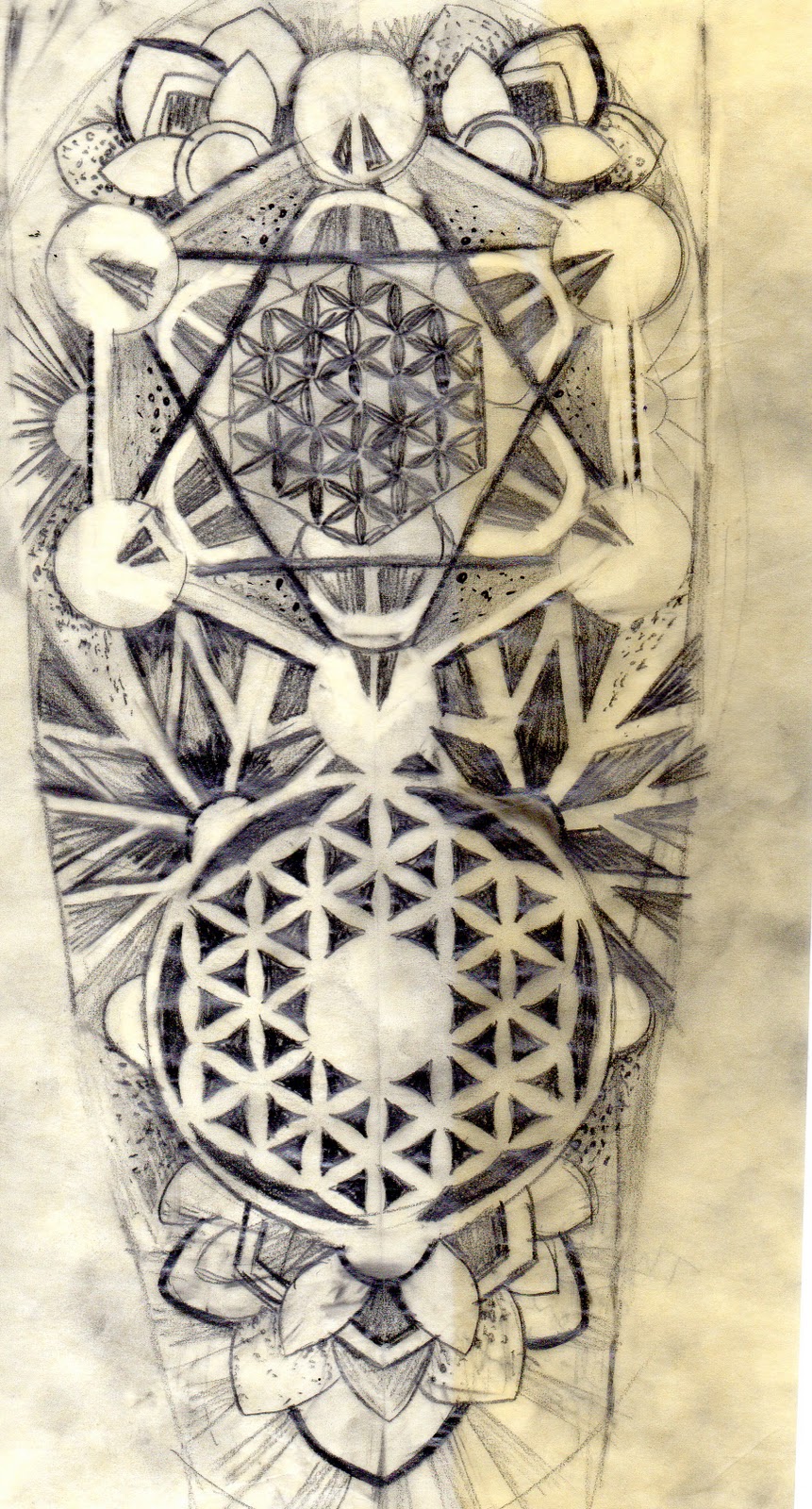 861x1600 Tattoo Shop Confessions Sketch - Geo Sketch