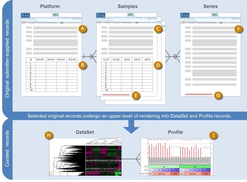 800x590 Figure 1. [Sketch Of Geo Data Organization...]. - Geo Sketch