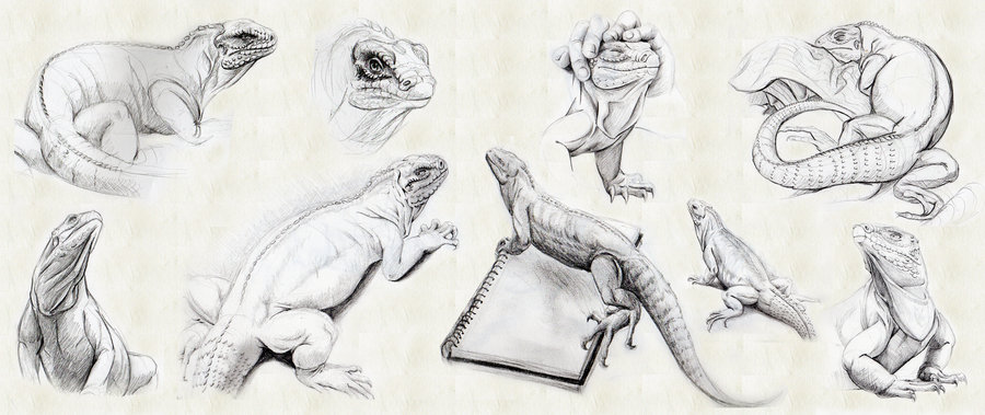 900x379 Geode Sketches By Spartan 029 - Geode Sketch