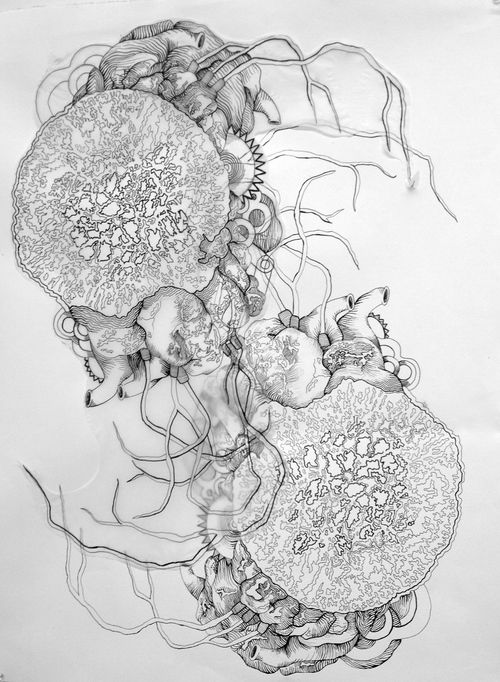 500x682 Jellyfish Abstract Drawing. Human Body, Mechanical, And Geode - Geode Sketch