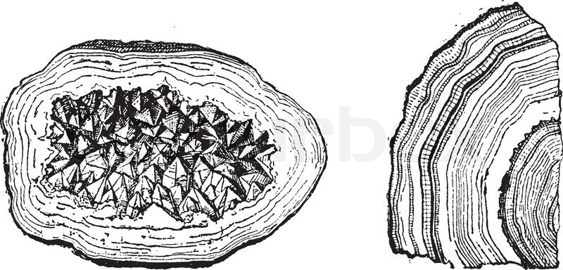 800x384 Old Engraved Illustration Of Quartz Geode And Agate Isolated On A - Geode Sketch