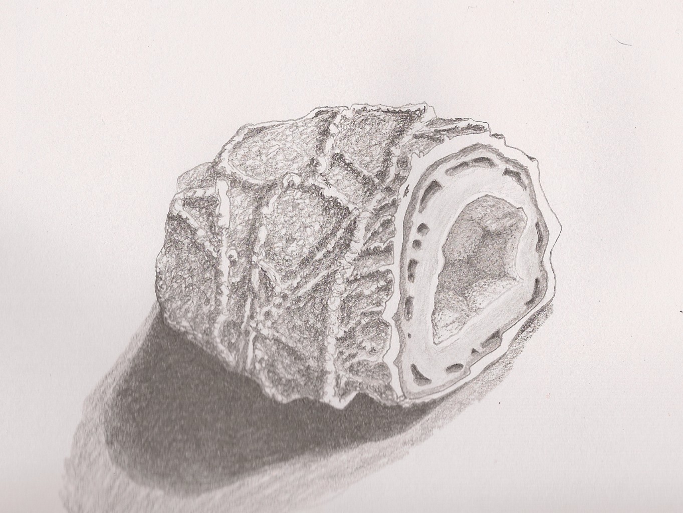 1363x1024 Sketch A Day 2011 November 3, 2011 - Geode Sketch