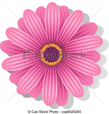 450x470 Gerber Daisy Lines - Gerber Daisy Sketch