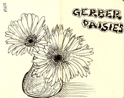400x317 Gerber Daisy Sketch Rymann - Gerber Daisy Sketch
