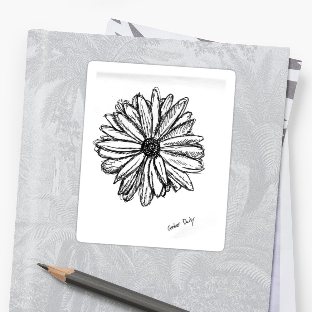 1000x1000 Gerber Daisy Sketch Stickers By Juliadream Redbubble - Gerber Daisy Sketch