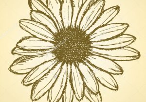 300x210 Daisy Flower Drawings With Color Abstract Watercolor Painting Red - Gerbera Daisy Sketch