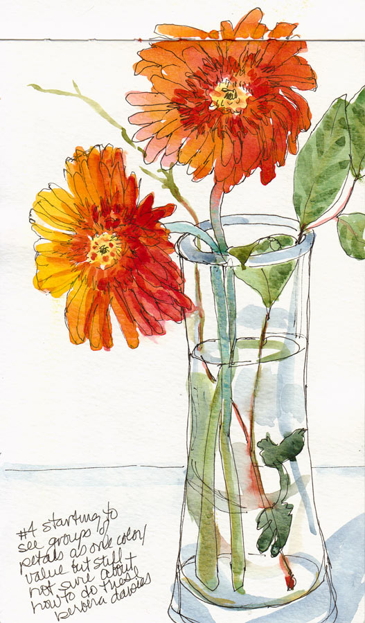 527x900 Duped By These Darned Daisies Jana Bouc, Artist - Gerbera Daisy Sketch