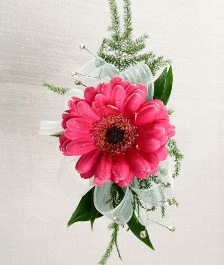 450x532 Gerbera Daisy Corsage For The Dance In Baton Rouge, La - Gerbera Daisy Sketch