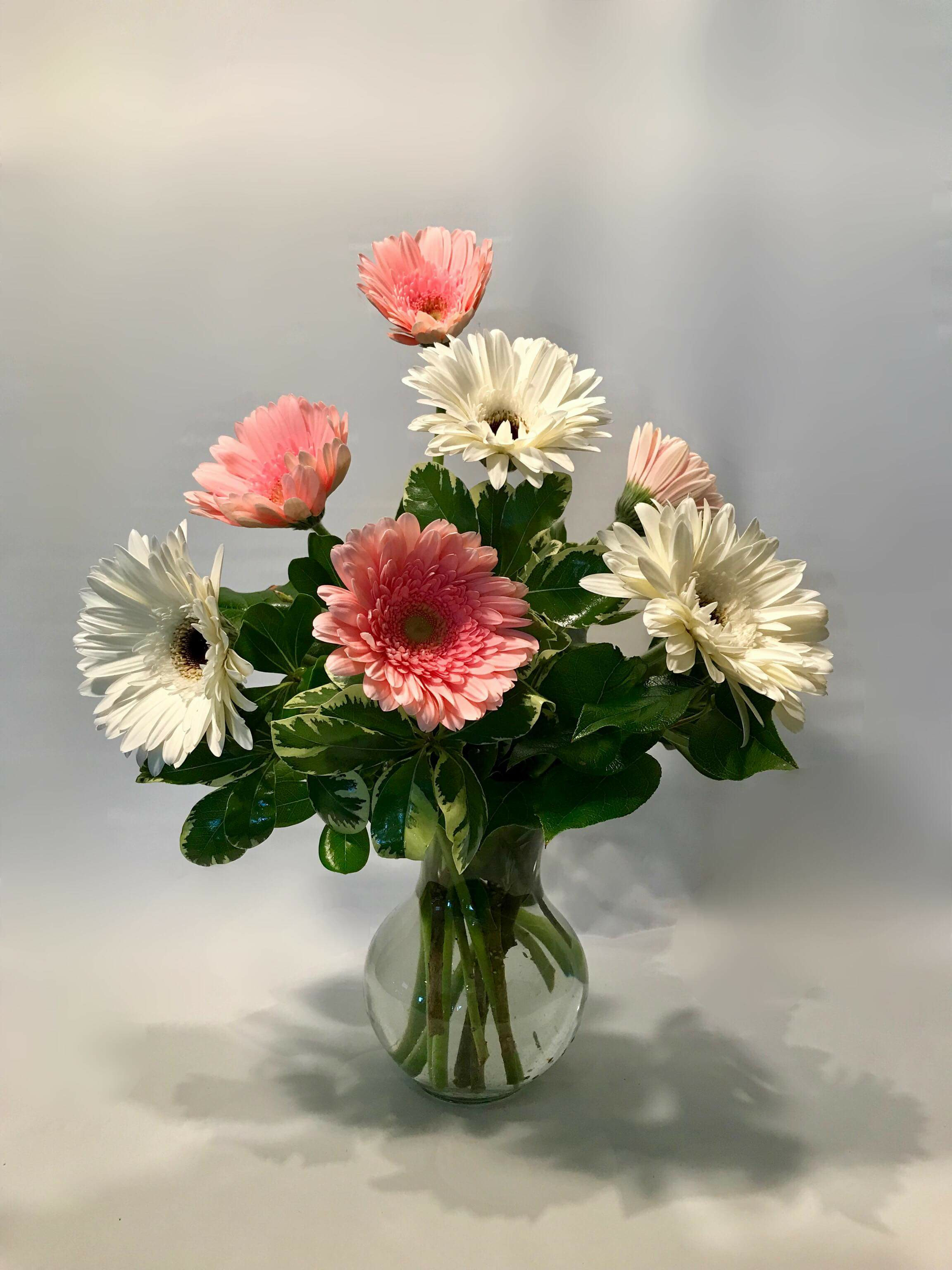 2304x3072 Gerbera Daisy Design In Tulsa, Ok Mrs. Dehavens Flower Shop - Gerbera Daisy Sketch