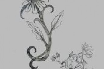 343x228 Gerbera Daisy Flower Tattoos - Gerbera Daisy Sketch