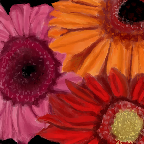 600x600 Gerbera Daisy Sketch By Sweetwreck - Gerbera Daisy Sketch