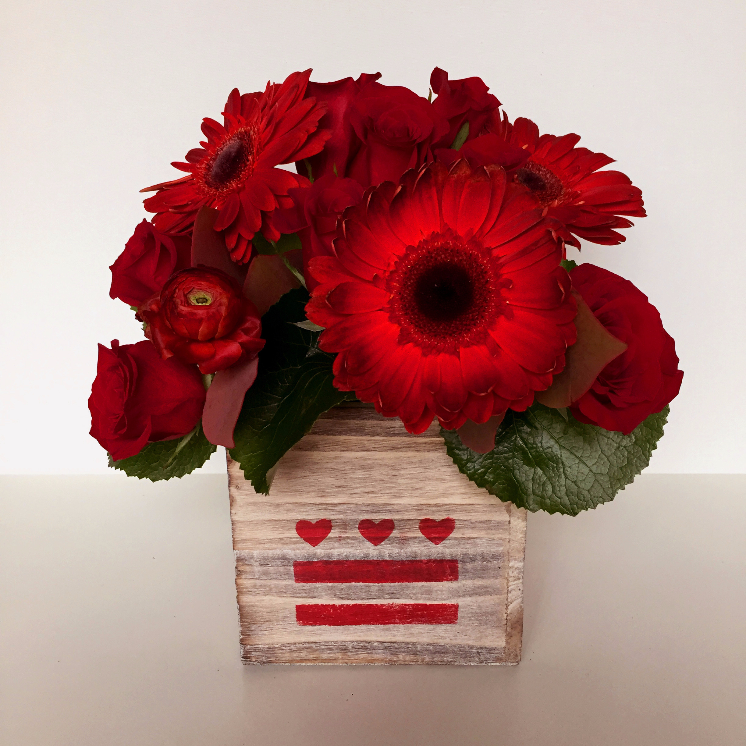 2448x2448 Dc Love Gerbera Daisy And Roses In Washington, Dc Shoots And - Gerbera Daisy Sketch