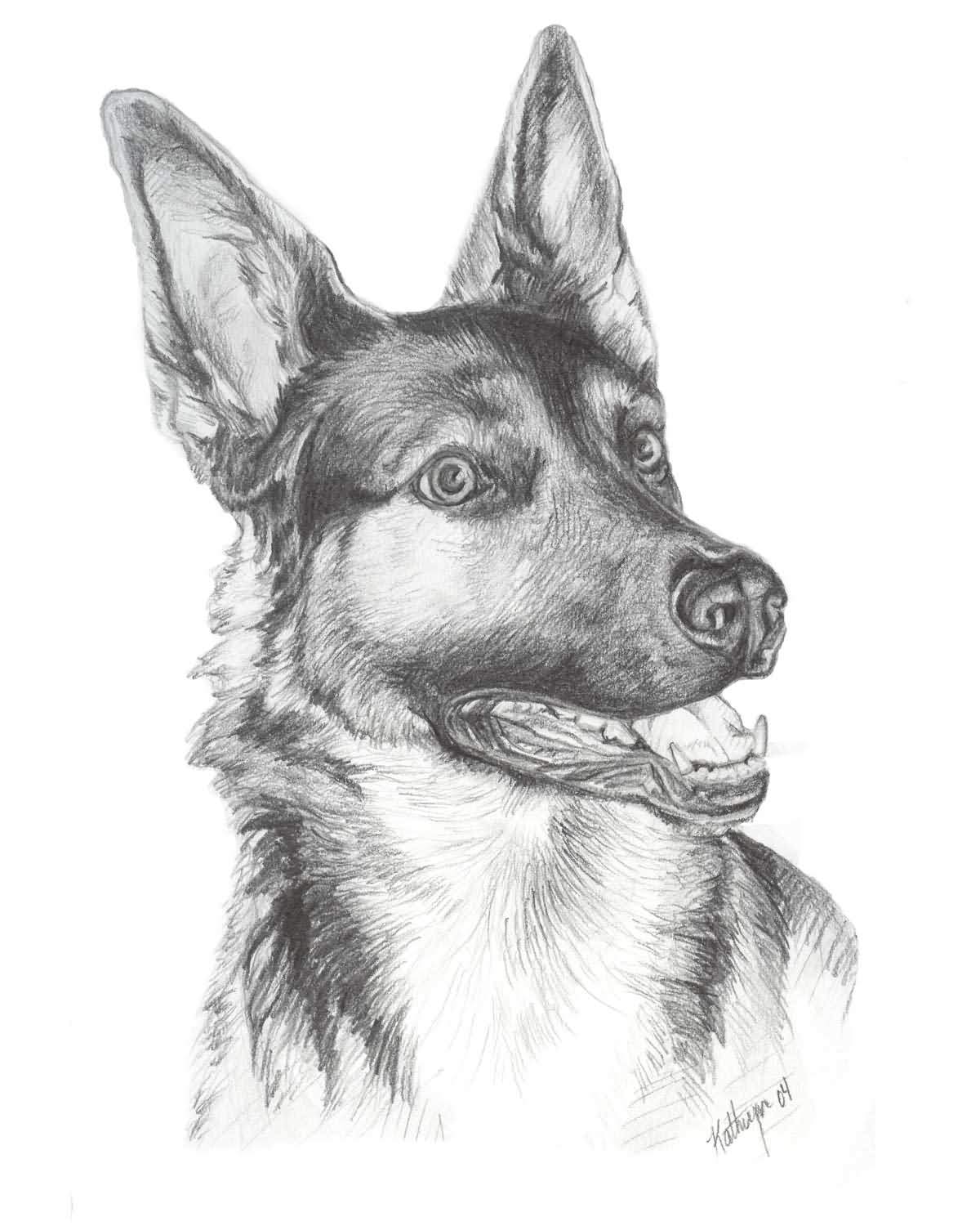 German Shepherd Dog Sketch at PaintingValley.com | Explore collection ...