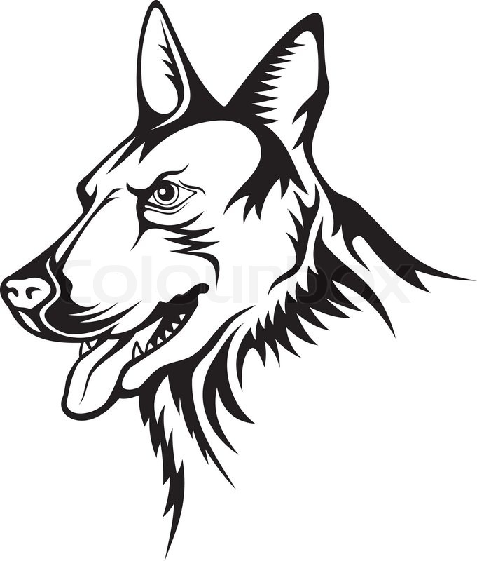 681x800 Tattoo Illustration Of German Shepherd Guard Dog Stock Vector - German Shepherd Sketch