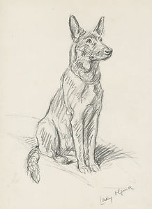 218x300 German Shepherd Alsatian Seated Dog Art Sketch Print - German Shepherd Sketch