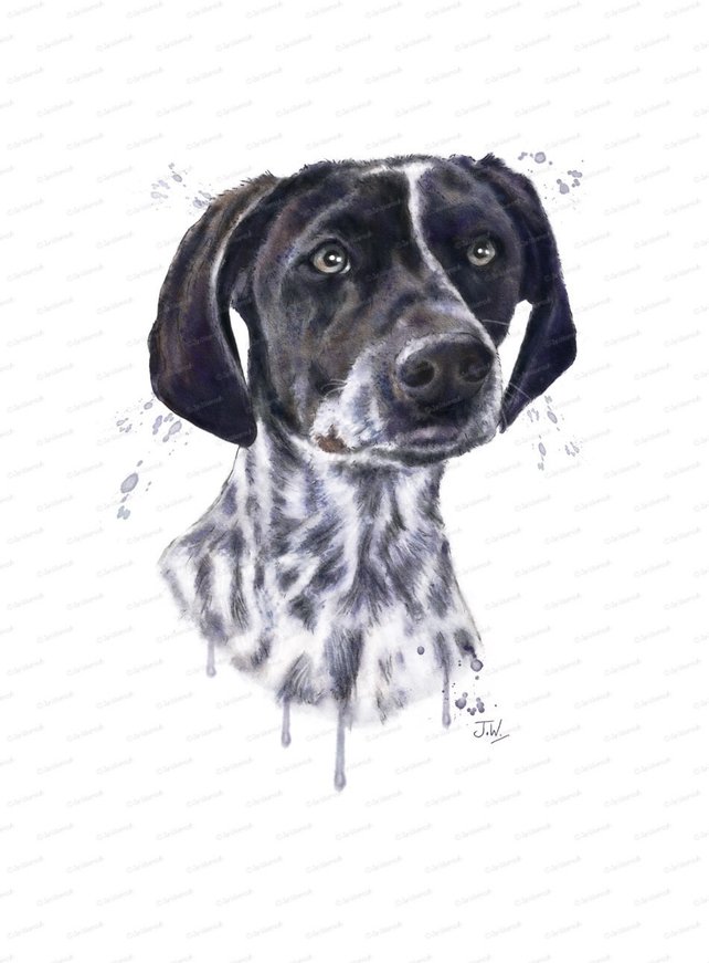 642x871 Digital Art Dog Clipart German Shorthaired Pointer Printable Etsy -...