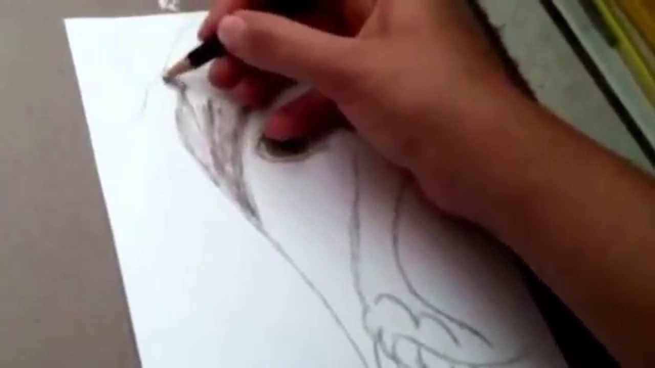 1280x720 Drawing A German Shorthaired Pointer Puppy! - German Shorthaired Pointer Sketch