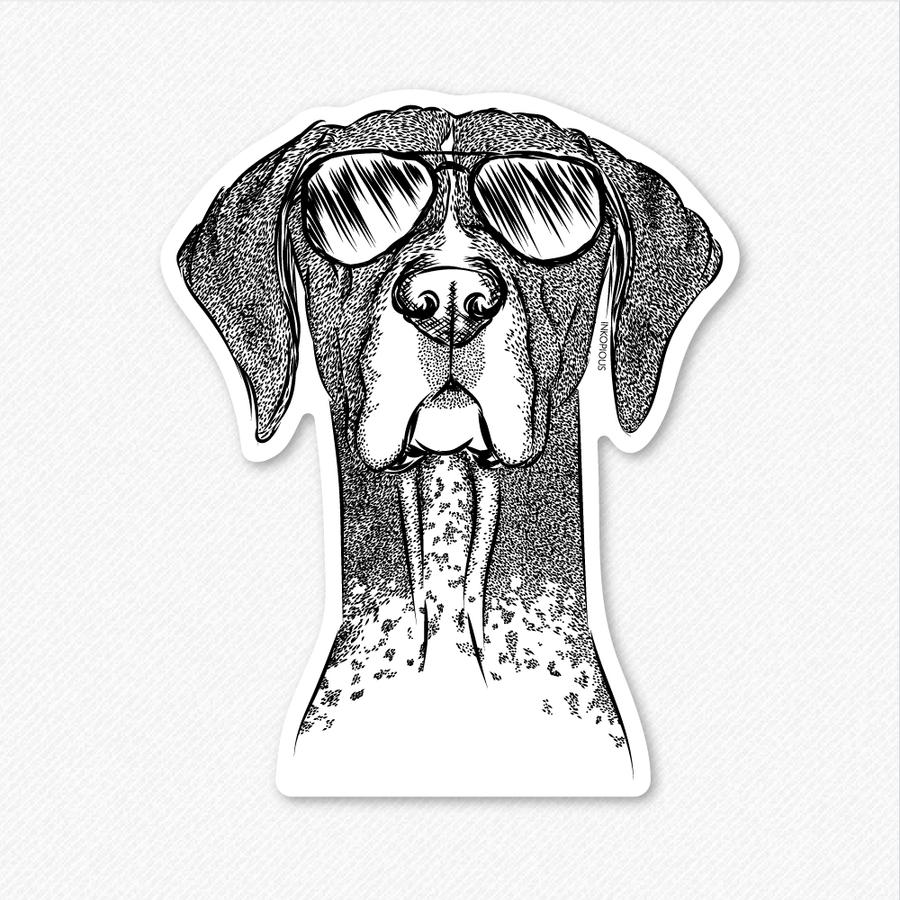 German Shorthaired Pointer Sketch at Explore