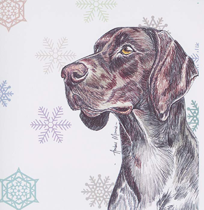 679x699 German Shorthaired Pointer Dog Christmas Card - German Shorthaired Pointer Sketch