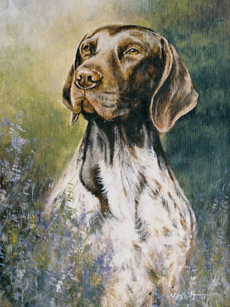 230x307 Pictures Prints Paintings By Steven Nesbitt - German Shorthaired Pointer Sketch