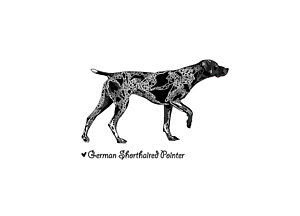 300x216 Pointer Drawings Fine Art America - German Shorthaired Pointer Sketch