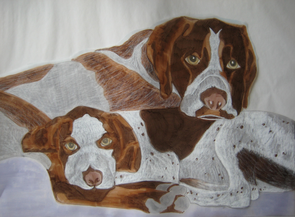 1024x754 Ashley And Shern, German Shorthair Pointers, Sketch - German Shorthaired Pointer Sketch
