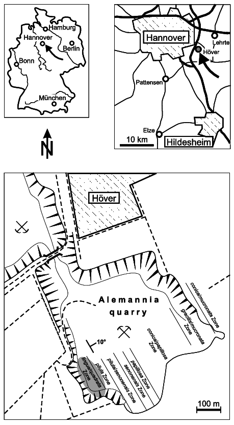 459x832 Sketch Map Of Germany, Showing The Location Of The City Of - Germany Sketch