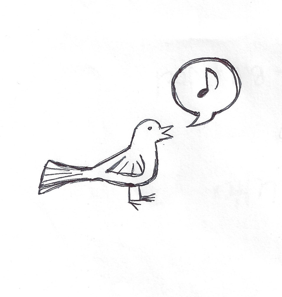 955x1007 Geyser House 52015 San Diego Music Wire - Geyser Sketch